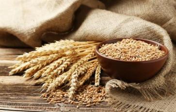 Superfood 101: Wheat!