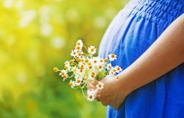 The Ayurveda Guide To Pregnancy