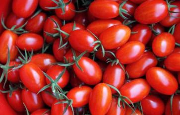 Superfood 101: Grape Tomato!