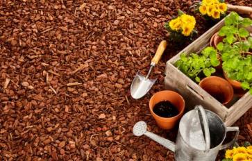 6 Eco-Friendly DIY Mulches