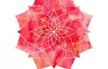 Ayurveda 101: Deep Dive Into Pitta Dosha