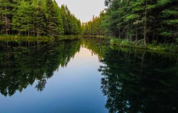 How To Purify Water In The Wilderness