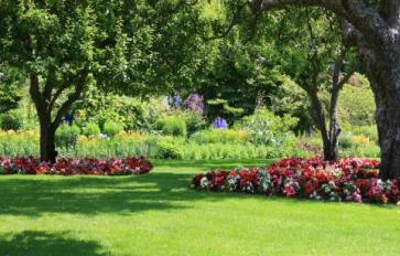 8 Shade-Loving Plants For Your Yard