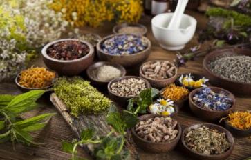 Ayurveda 101: Seasonal Rhythm Of The Doshas