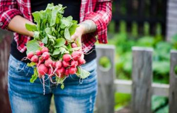Organic Home Garden Series: 10 Ideas For Sustainable Gardening 