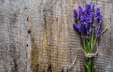 Staying Calm & Focused: 7 Botanicals For Day-To-Day Anxiety