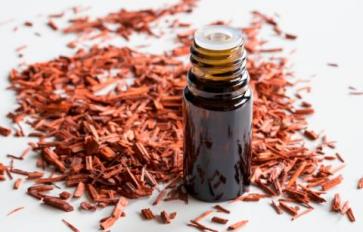 Essential Oils: Healing Properties of Sandalwood Oil