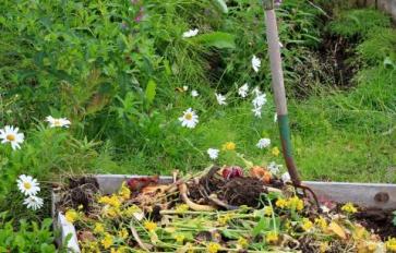 5 End-Of-Season Steps For A Sustainable Garden