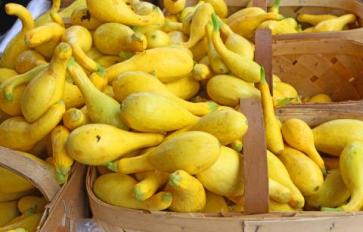 Superfood 101: Crookneck Squash!