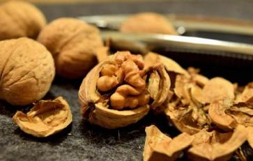 Superfood 101: Walnuts!