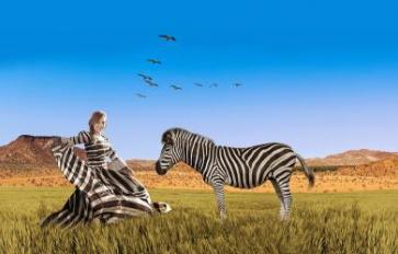 Coping With Stress: 8 Strategies From 'Why Zebras Don’t Get Ulcers'