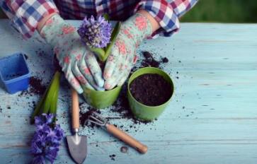 Zero Waste Gardening Basics