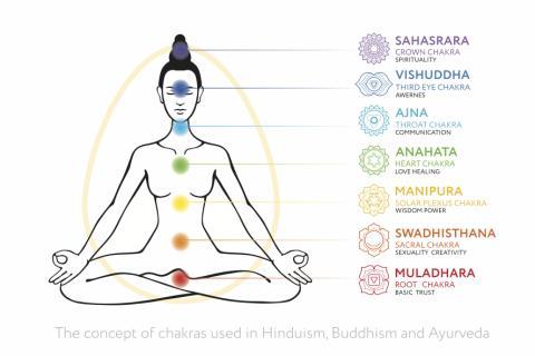 Chakra Basics & How To Balance Your Chakra Through Yoga Asana - The  Wellness Corner